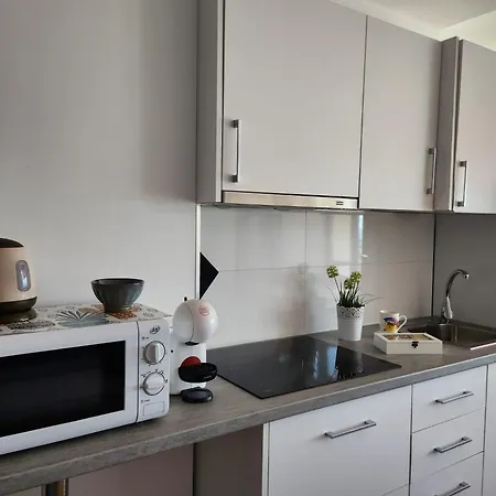 Puertorico Tobago Happy Paradise